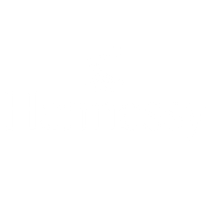Company icon