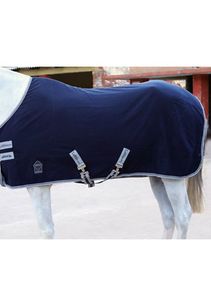 Stable Rug