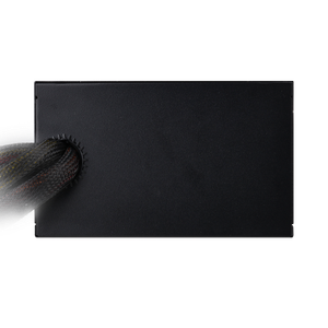 EVGA 600 W2