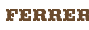 Company icon