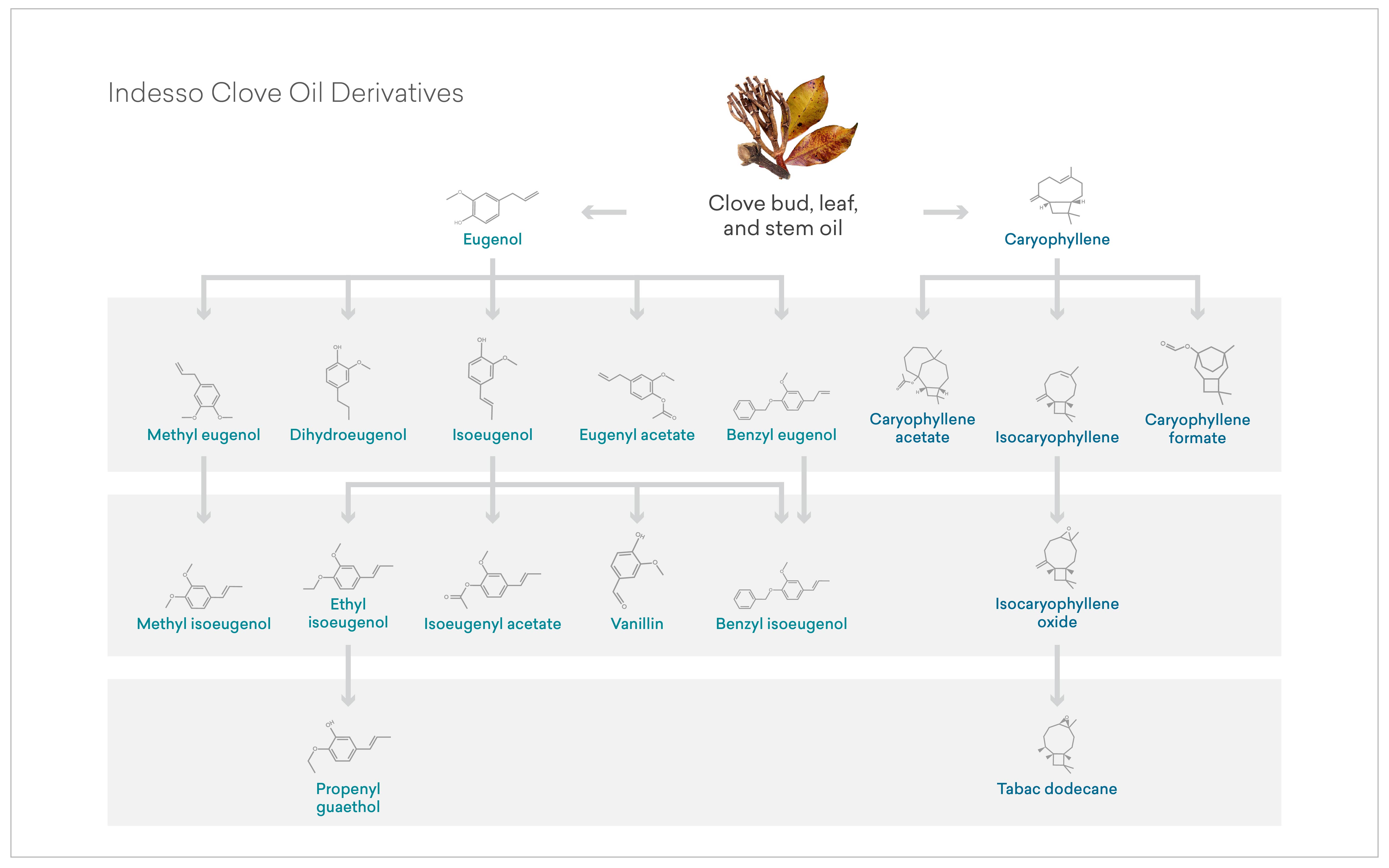 Indesso Clove Oil Derivatives