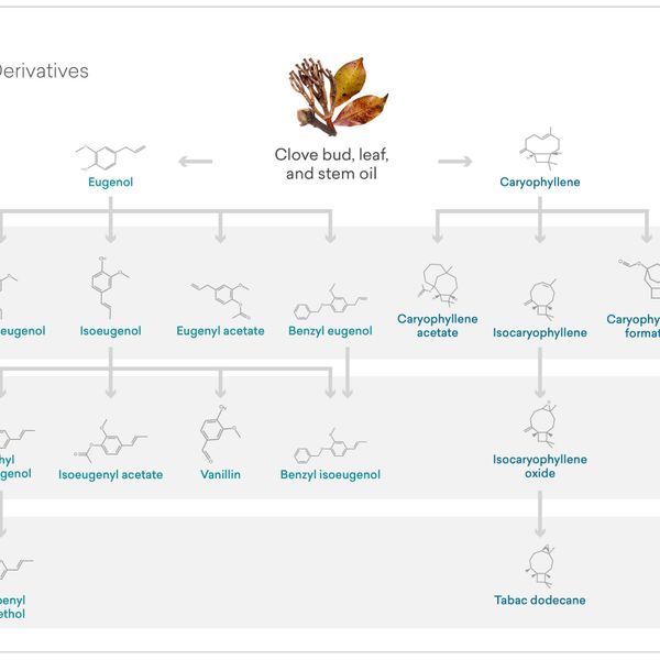 Indesso Clove Oil Derivatives