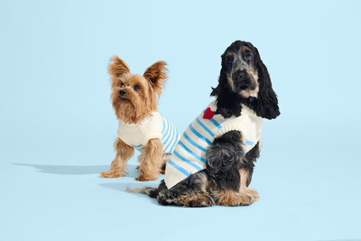 dog clothes