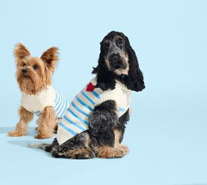 dog clothes