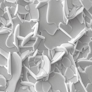 Lead-Free Piezoceramics