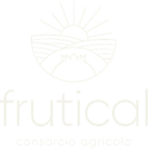 Company icon