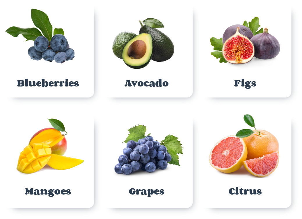 Fresh Fruits