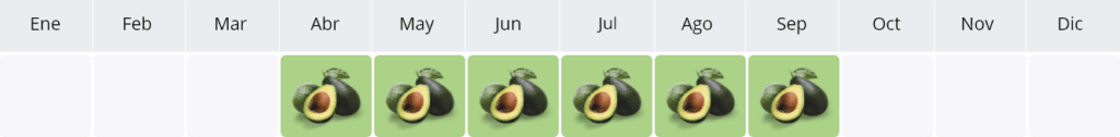 Avocado