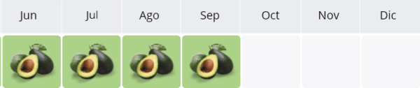 Avocado