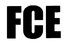 Company icon
