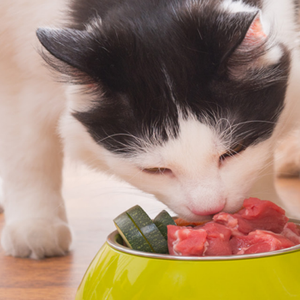 Pet Food Grade