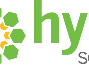 Company icon