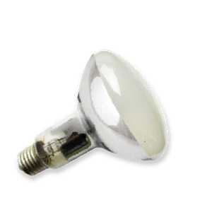 Reptile Lamp