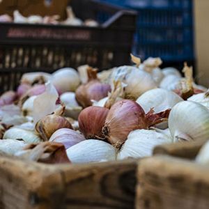 Dehydrated onion