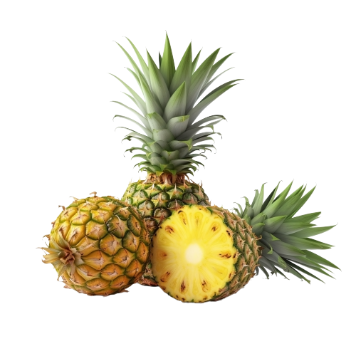 Organic Pineapple Juice NFC