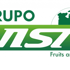 Company icon