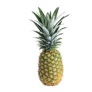 FRESH PINEAPPLE