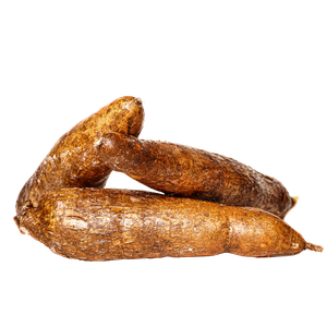 CASSAVA