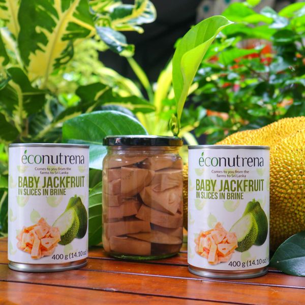 Baby Jackfruit in Slices in Brine