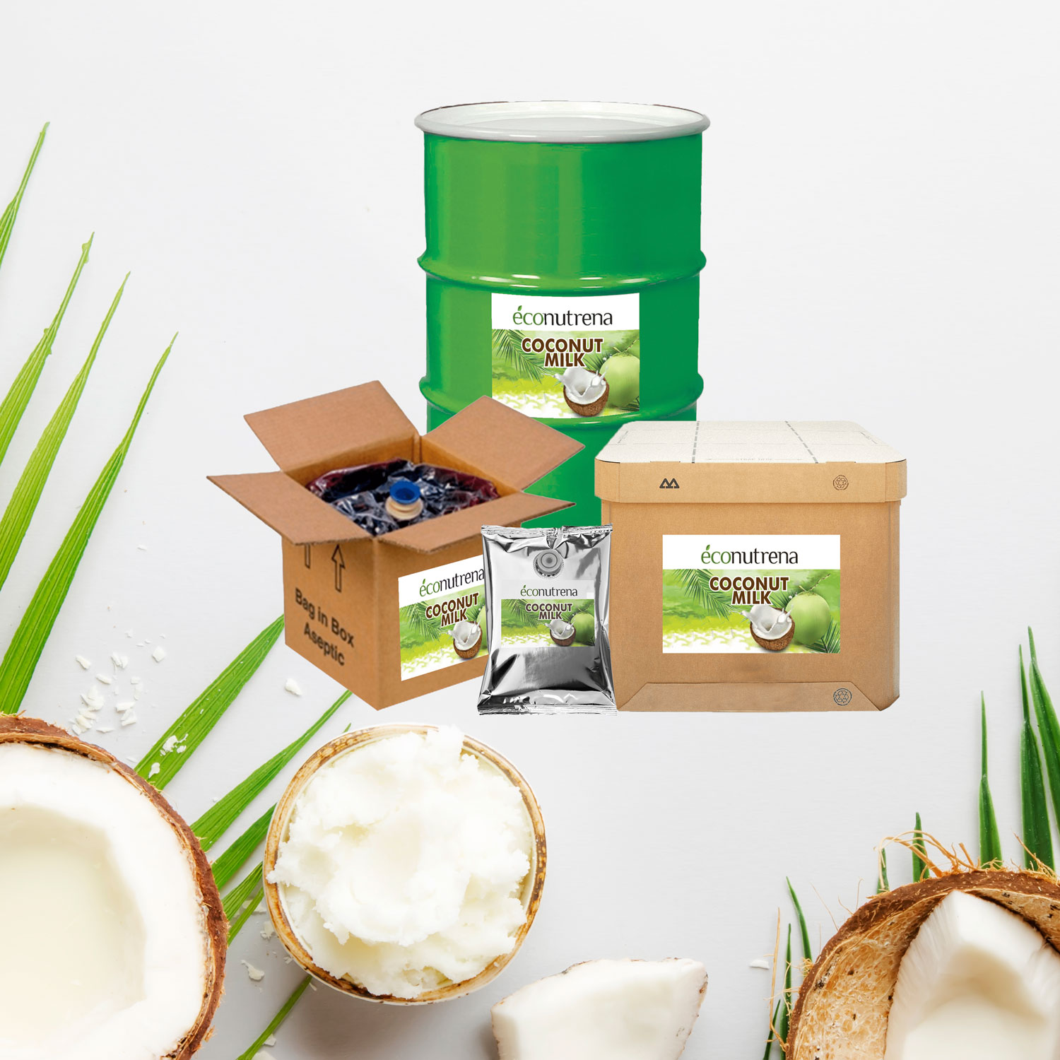 Coconut Milk
