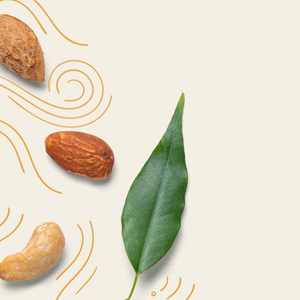 almond, cashew, macadamia, hazelnut, pecan, walnut, and pistachio