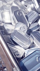 Canned seafood