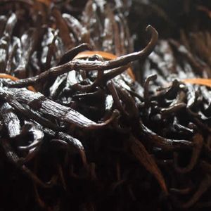Vanilla