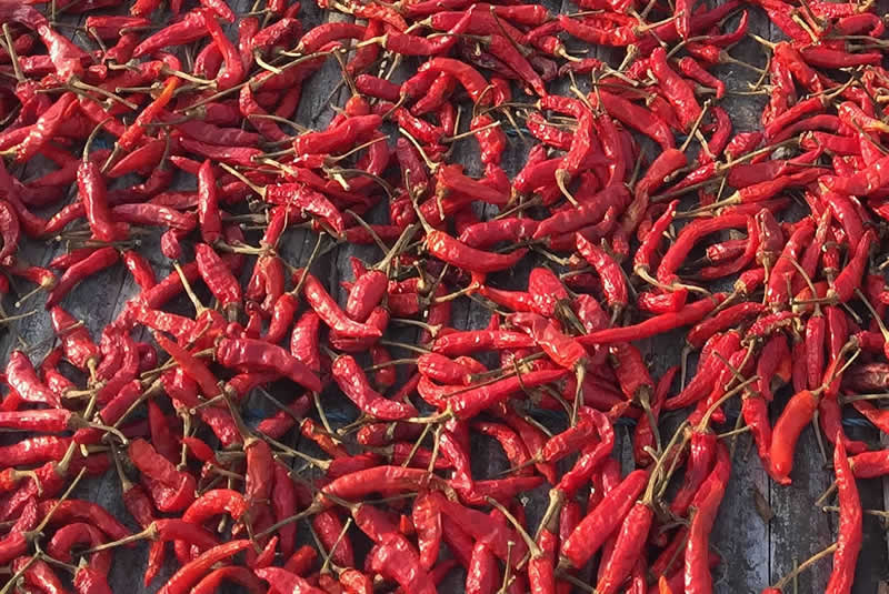 Spices & Ingredients
