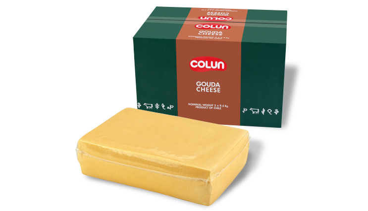 GOUDA CHEESE