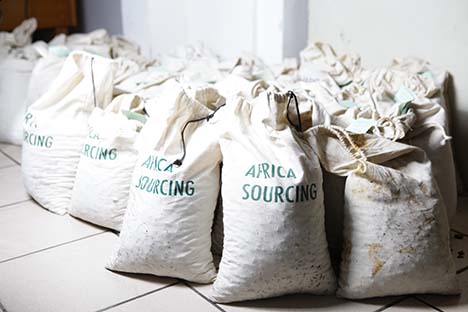 cocoa beans, coffee, maize, and cashew nuts