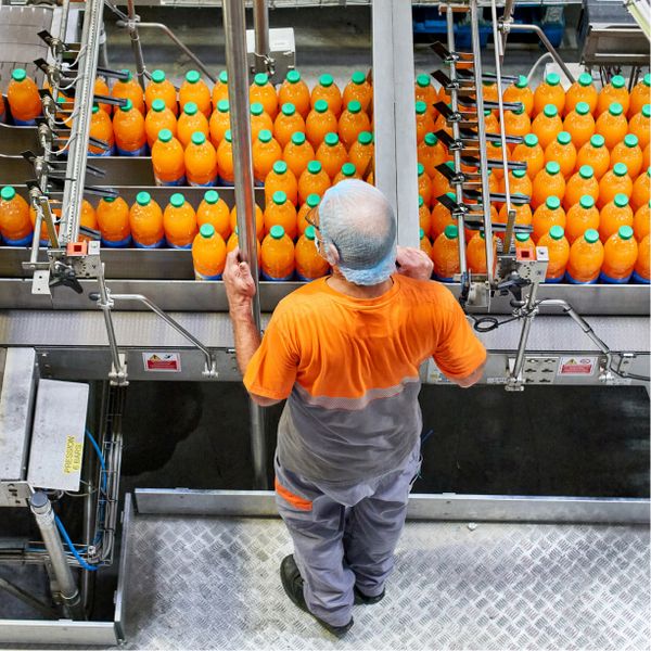 Orange Juice