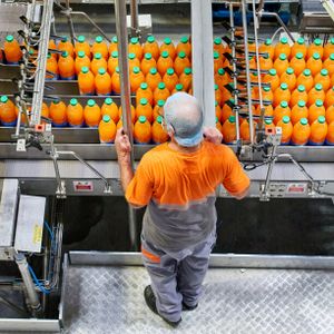 Orange Juice