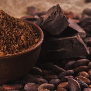 Organic Cocoa Powder