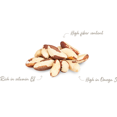 Brazil Nuts