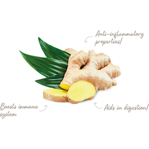 Ginger