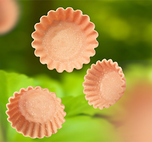 Paper Thin Flower Tart Shell
