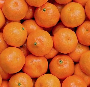 Cítricos / Citrus
