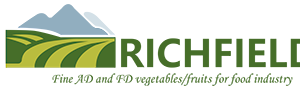Company icon