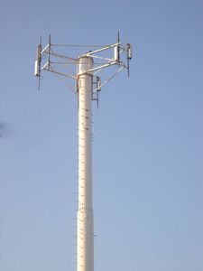 Monopoles, Standard Monopoles