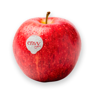 ENVY