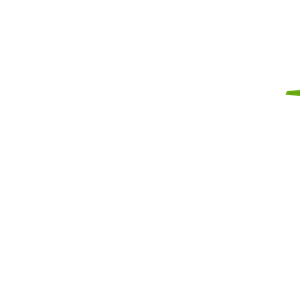 Company icon