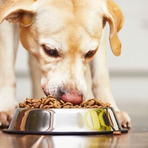 Pet food packaging papers