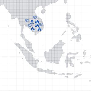 Global Network