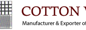 Company icon