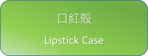 Lipstick Case