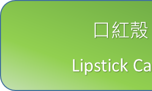 Lipstick Case