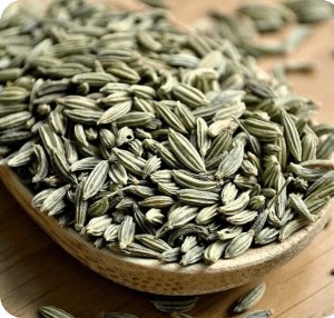 Fennel
