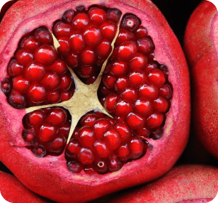 Pomegranate 116