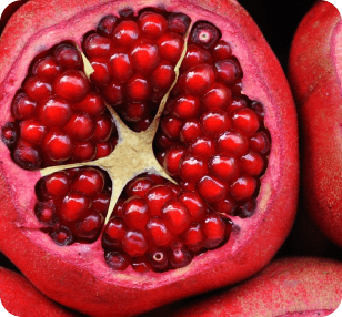 Pomegranate 116