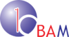 Company icon